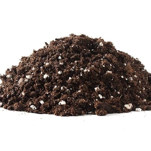 Bonsai Tree Soil All Purpose Blend - 100% Organic All Natural
