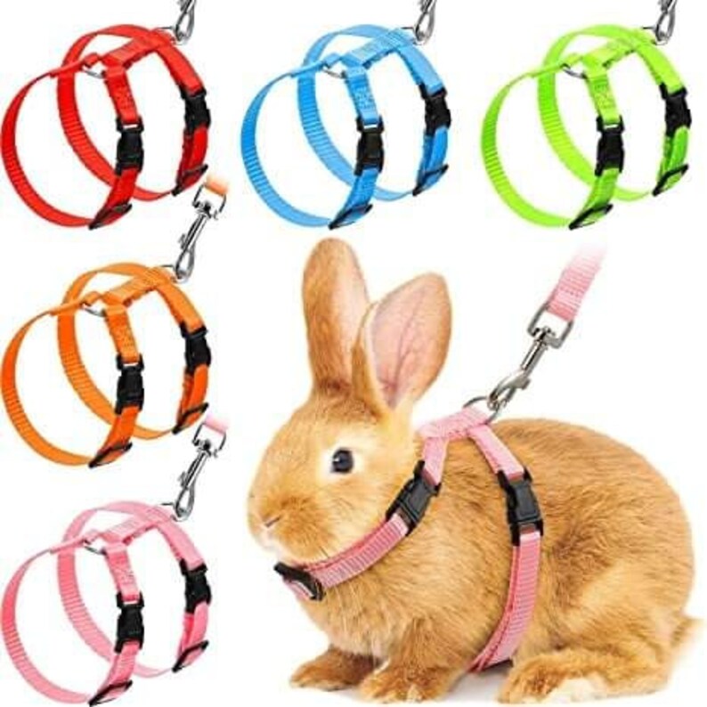 small pet harness