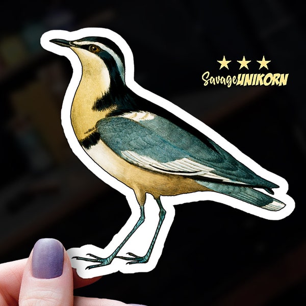 Beautiful Egyptian Plover Bird Sticker | 100% Waterproof Egyptian Plover Sticker Ships for Free | She Wings the Sky with Furious Grace