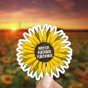 Sunflower Ray of F***ing Sunshine Sticker! Sunflower Decal! Ships Free w Tracking!