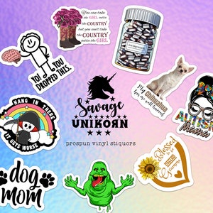 May include: A set of 10 vinyl stickers with various designs, including a unicorn, a skull, a dog, a ghost, a sunflower, a chihuahua, a brain, a girl with glasses, and a jar of pills. The stickers are all on a pink background.