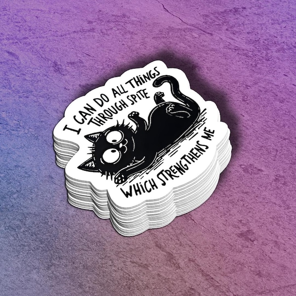 vinyle autocollant drôle de chat noir | Sticker « Je peux tout faire malgré tout » | Bouteille d'eau, décoration pour ordinateur portable