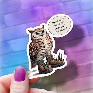 Funny Owl Vinyl Sticker: &quot;Mess with the Hoot&quot; Laptop Decal