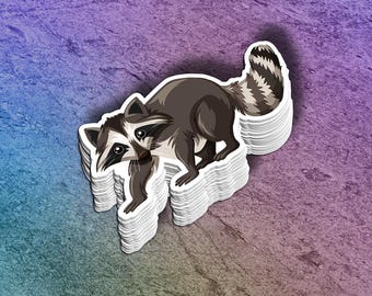 Raccoon Sticker: Trash Panda Vinyl Decal - Dishwasher Safe
