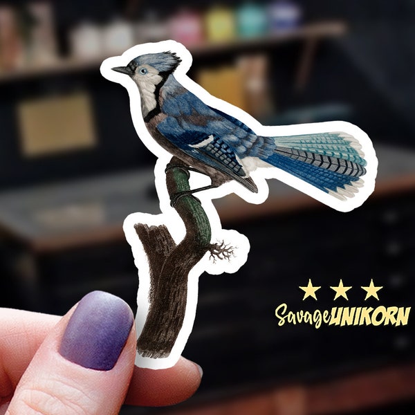 A Heartwarming Blue Jay Sticker | Bird Decal | Nature Lover Gift | Laptop Sticker | Water Bottle Sticker | Outdoor Adventure