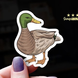 Mallard Duck Sticker: Waterproof Vinyl Decal for Nature Lovers