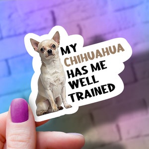 Chihuahua Vinyl Sticker: &quot;My Chihuahua Has Me Well Trained&quot;