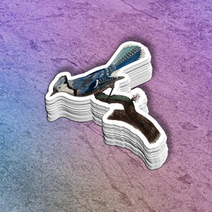 Blue Jay Bird Vinyl Sticker: Perched Songbird Decal, Nature Lover Gift
