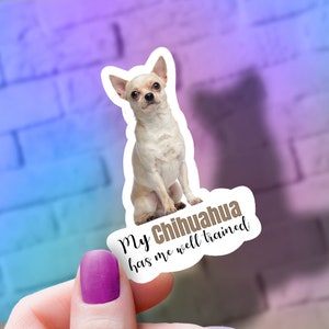 Chihuahua Vinyl Sticker: Dog Mom Gift, Waterproof Decal