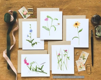 Wildflower Greeting Cards | Botanical Notecards | Mother's Day | Botanical Stationary Set | Pack Of 5 Cards With Envelopes