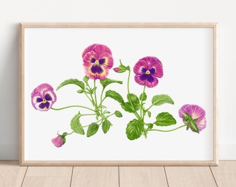 Pansy Watercolor Painting Print | Floral Wall Art