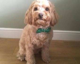 Dog Bow Tie, Suitable for all Special Occasions, For Small, Medium or Large dogs. In 30+ colours,