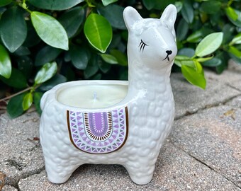 Alpaca Candle: Natural Soy Wax, Reusable Planter - 9oz