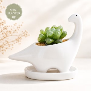 May include: A white ceramic dinosaur-shaped planter with a small succulent plant. The planter has a long neck and tail, with a small dish at the base. The text "MINI PLANTER" is in a circle in the upper left corner.
