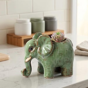 May include: A green ceramic elephant planter with a succulent plant. The elephant has a textured surface and brown accents. The planter is on a white countertop. Decorative jars are in the background.