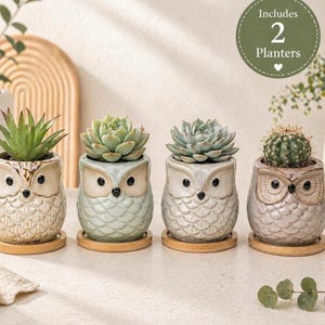 Owl Planter Set of 2, Cute Succulent Pots, Small Ceramic Plant Pots, Owl Decor, Gift for Plant Lover, Desk Planters Indoor, Add Faux Plants