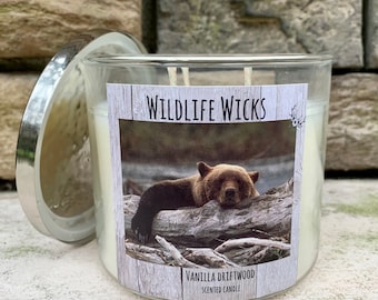 Bear Candle, Grizzly Bear | Wildlife Soy Candle | Large 3 Wick | Vanilla Driftwood Scented, Candles for a cause