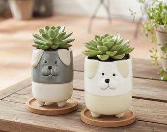 Dog succullent Planter, Ceramic Dog Flower Pots, Cute Cartoon, Stocking Stuffer