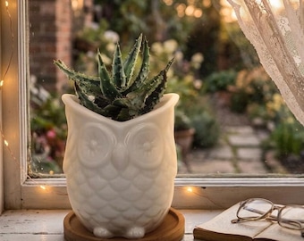 Ceramic Owl Planter with Drainage Hole and Bamboo Tray
