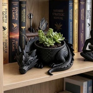 Fourth Wing Inspired Dragon Planter Pot and Ring Holder, Basgiath Reading Decor, Dragon Trinket Dish, Bookish gift and jewelry holder