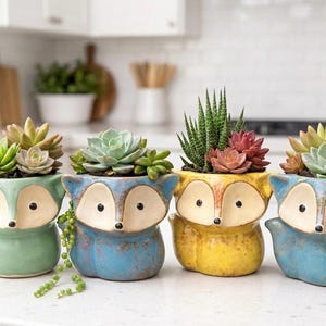 May include: Four ceramic fox-shaped planters in shades of green, blue, and yellow, each holding a variety of succulents. The planters have a glossy finish and feature a fox face design with black eyes and a white snout. The plants are a mix of green and reddish hues.