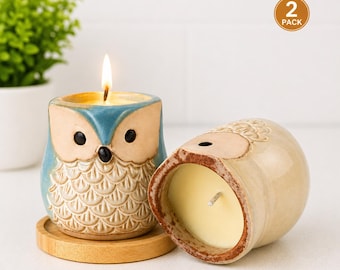 Hand-Poured Soy Wax Owl Candles, Reusable Planter Jars (2 Pack)
