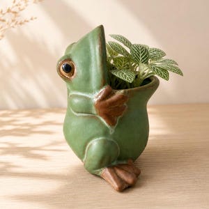 May include: A green ceramic frog-shaped planter with brown accents, holding a small plant with green and white leaves. The frog has large, dark eyes and is positioned on a wooden surface.