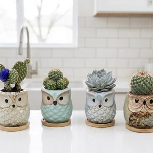 Owl Planters, Mini Ceramic Succulent Pot