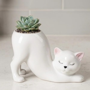 May include: A white ceramic cat-shaped planter featuring a stretching pose with a green succulent planted in the back. The cat has painted black eyes with long eyelashes, a small black nose, and soft pink accents on the inside of its ears.