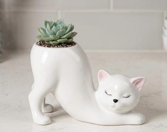 Stretching Cat Planter – Ceramic Succulent Pot, Whimsical Animal Home Decor