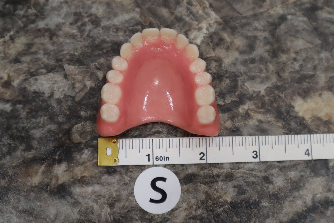 Upper Denture/horseshoe Upper Dentures With Impression Denture Etsy