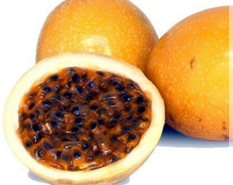 10 Samen Gelbe Passionsfrucht, Passiflora, Maracuya, Natürlich, Non GMO, Erbstück