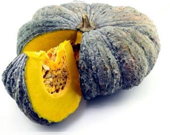 10 semillas de calabaza Thai Thong Siam, calabaza Thai Siam rara, natural