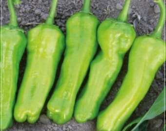 100 Seeds Cubanelle Sweet Pepper Seeds, Traditional Bell Pepper, Natural, Non GMO, Heirloom, Capsicum Annuum