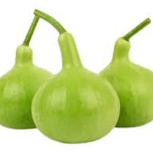 Puede incluir: Tres calabazas de botella verdes con cuellos largos y una textura lisa ligeramente acanalada.