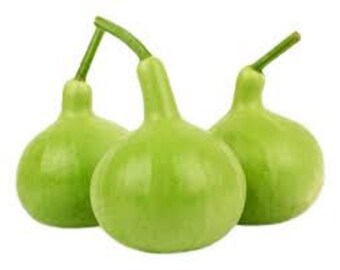 Semi Di Zucca Rotonda Gigante (Calabash) – Biologici, Non OGM, Alta Resa – Mai's Family