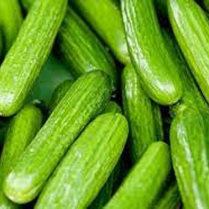 Può includere: Un primo piano di un mucchio di cetrioli freschi e verdi. I cetrioli sono disposti in modo casuale, con alcuni che si sovrappongono ad altri. I cetrioli hanno tutti più o meno le stesse dimensioni e forma, e hanno una pelle liscia e lucida.