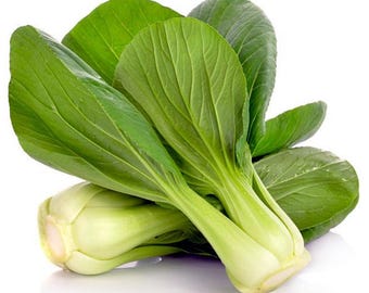 パクチョイ（白菜）、アブラナ科の野菜、カントンパクチョイ、在来種、天然アジア野菜の種子100粒