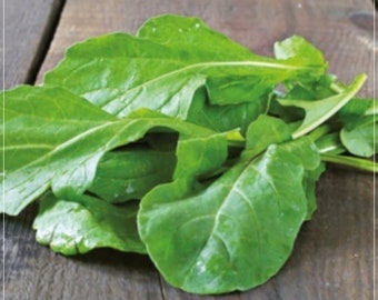 1000 Seeds Garden Rocket Seed, Vegetable Foliage, Natural Rucola Arugula, Non GMO, Heirloom, Roka Salad, Roquette