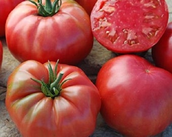 100 semillas de tomate rosa del Caspio, tomates de aldea, naturales, sin OMG, de herencia.