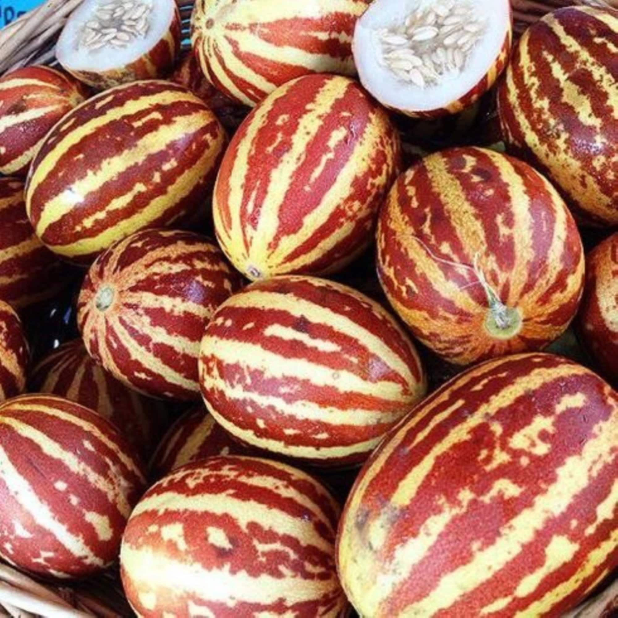 Kajari melon seeds - Etsy 日本