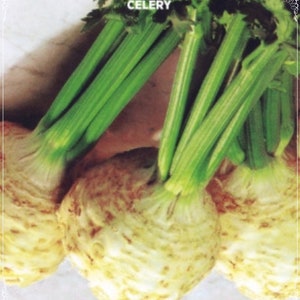 Könnte beinhalten: Drei ganze Sellerieknolle mit grünen Stielen, das Wort "CELERY" ist oben im Bild in Weiß auf schwarzem Hintergrund gedruckt.