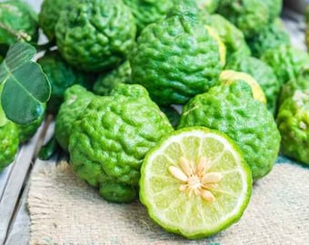 5 Samen duftende Kaffir Limette, Kieffer Zitronenbaum, Makrut, Magrood, Thai Lokal, Natürlich, Nicht GMO