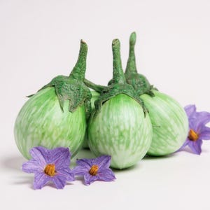 50 Seeds Oval Green Eggplant, Thai Vegetable, Natural, Non GMO