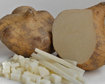 5 semi di patata dolce, verdure tailandesi, jicama, rapa messicana, naturale, non OGM