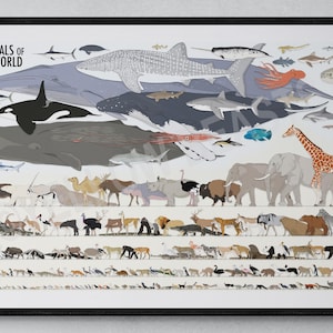 Pode incluir: Uma impressão emoldurada intitulada "Animais do Mundo" com ilustrações de vários animais. A seção superior mostra a vida marinha, incluindo baleias e tubarões. As seções inferiores exibem animais terrestres, de elefantes a pássaros, em um design colorido.