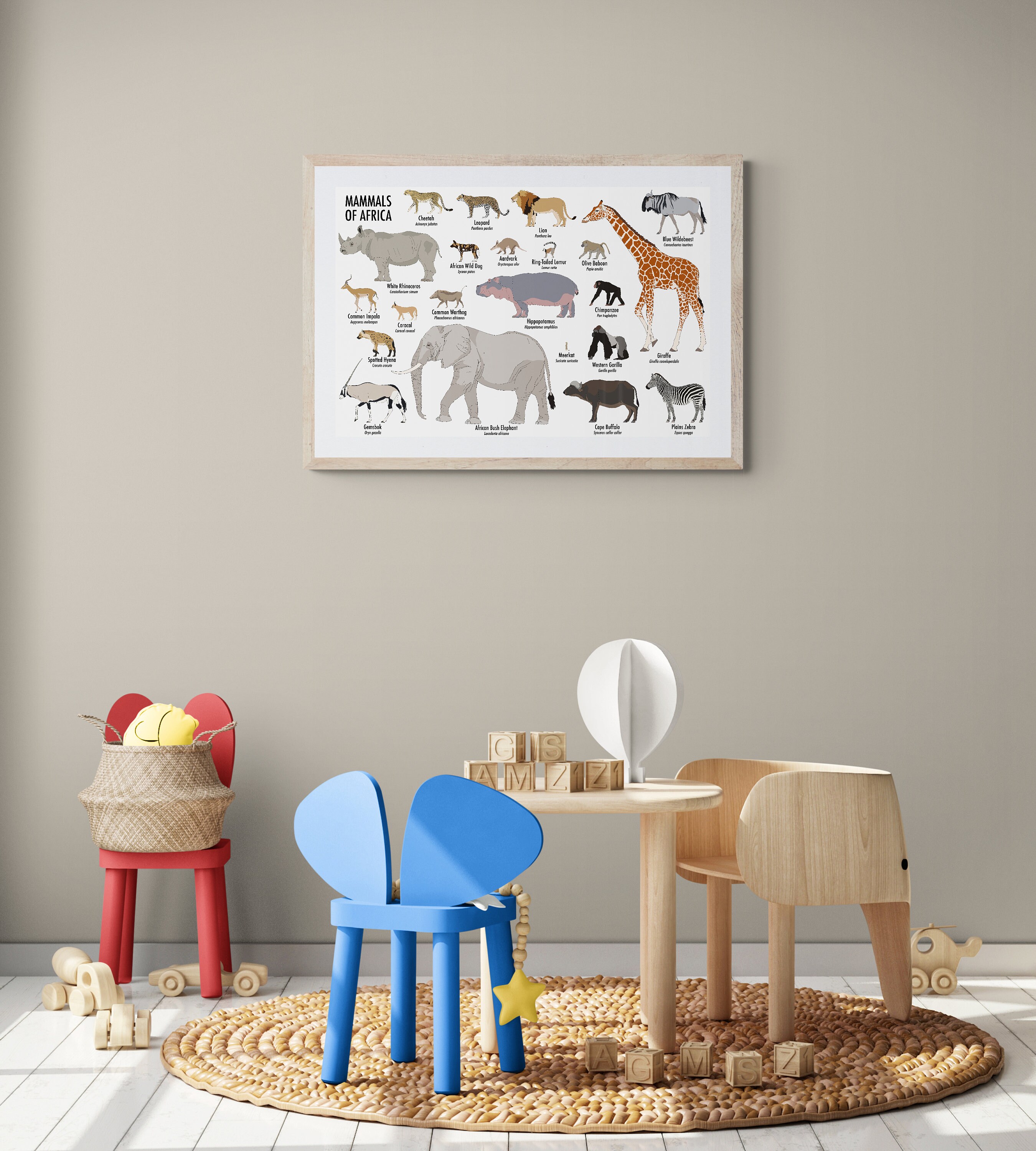 Mammals of Africa Poster - Etsy