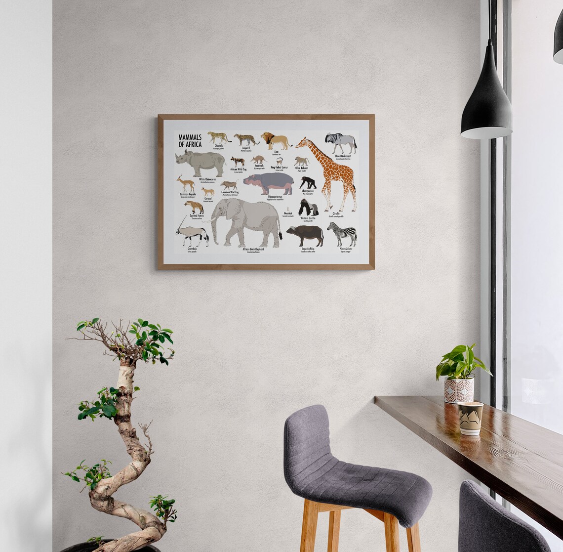 Mammals of Africa Poster - Etsy