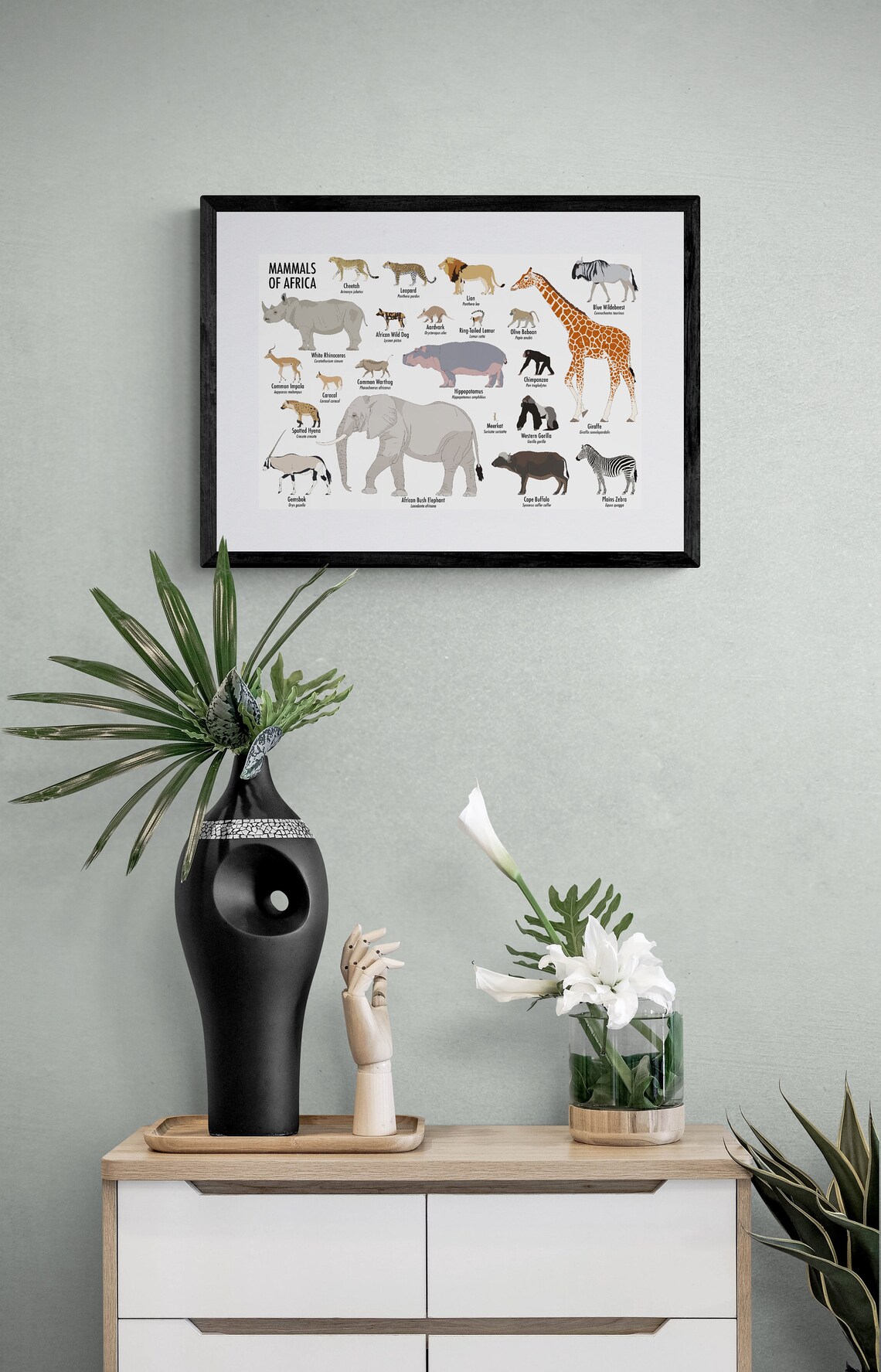 Mammals of Africa Poster - Etsy