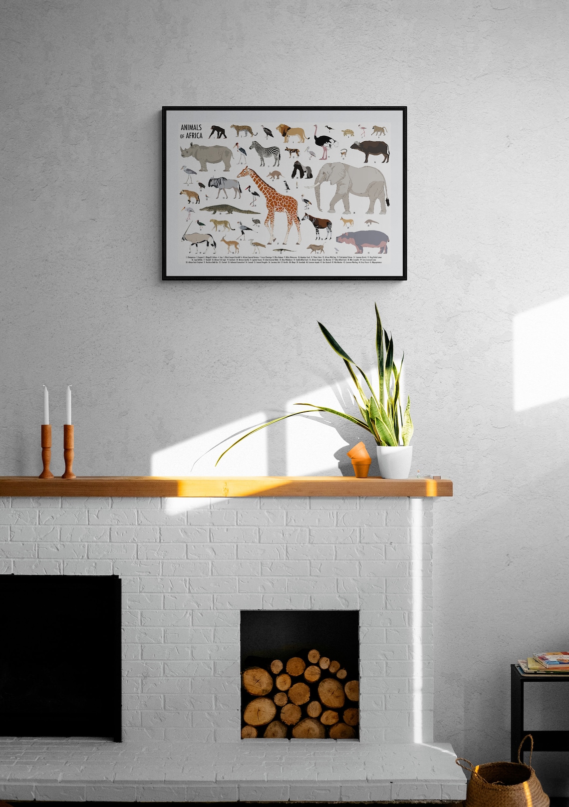 Animals of Africa Poster - Etsy